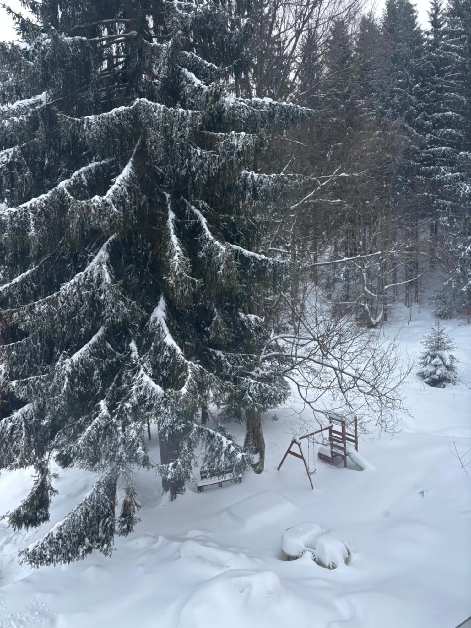 Apartment Owl Korenov Luaran gambar